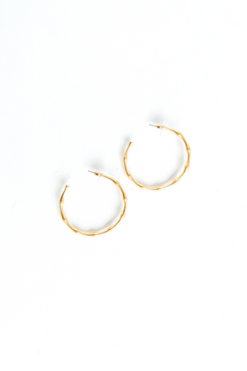 Andie Metal Hoop Earrings