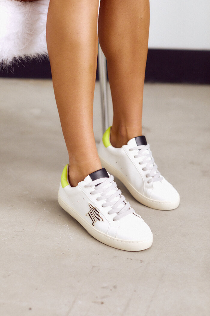 Brielle Zebra Star Sneaker