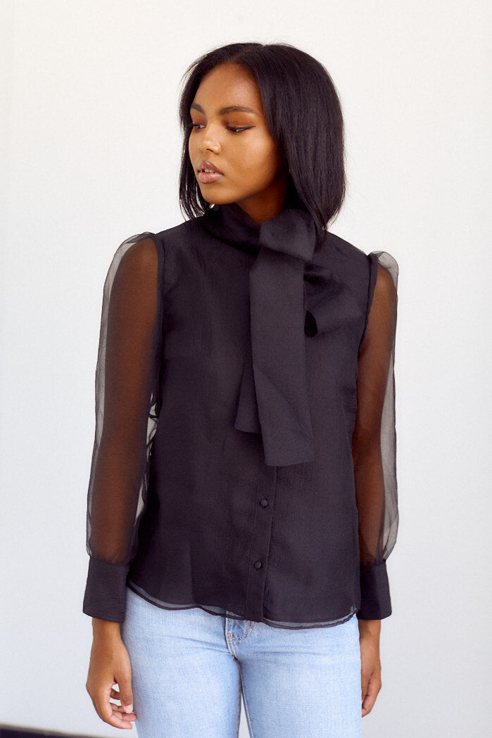 Minott Sheer Sleeve Tie Neck Blouse