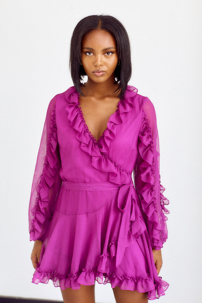 Argonna Ruffle Detail Mini Dress