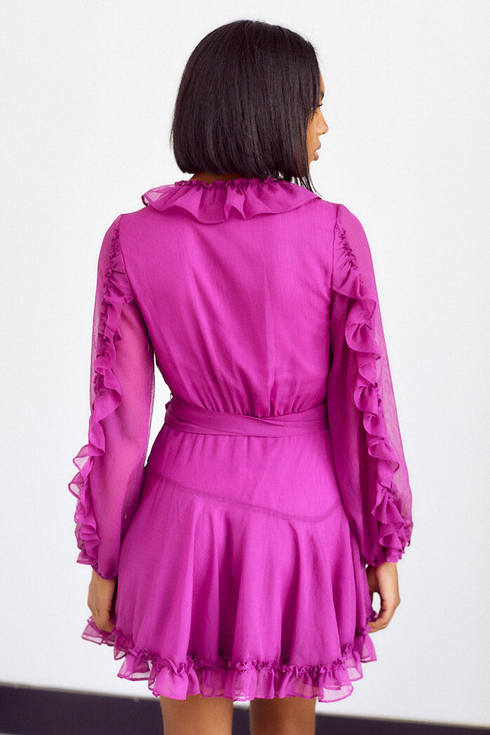 Argonna Ruffle Detail Mini Dress