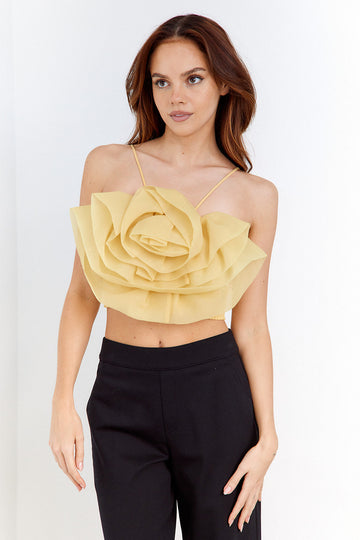 SALE - Rosie Tulle Top