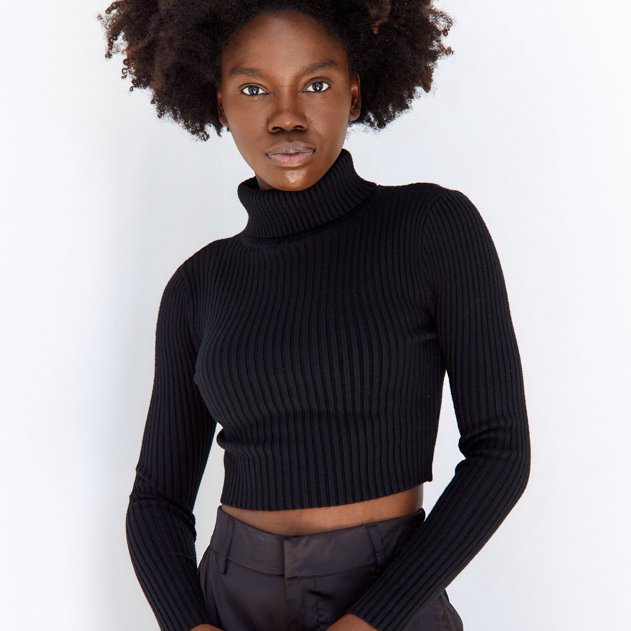 Renner Rib Knit Turtleneck Sweater