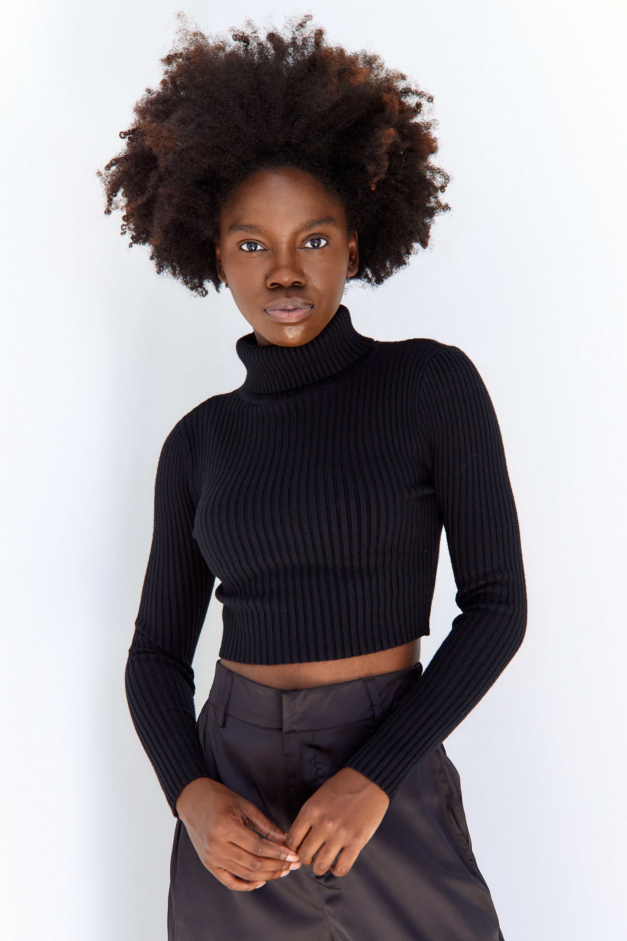 Renner Rib Knit Turtleneck Sweater