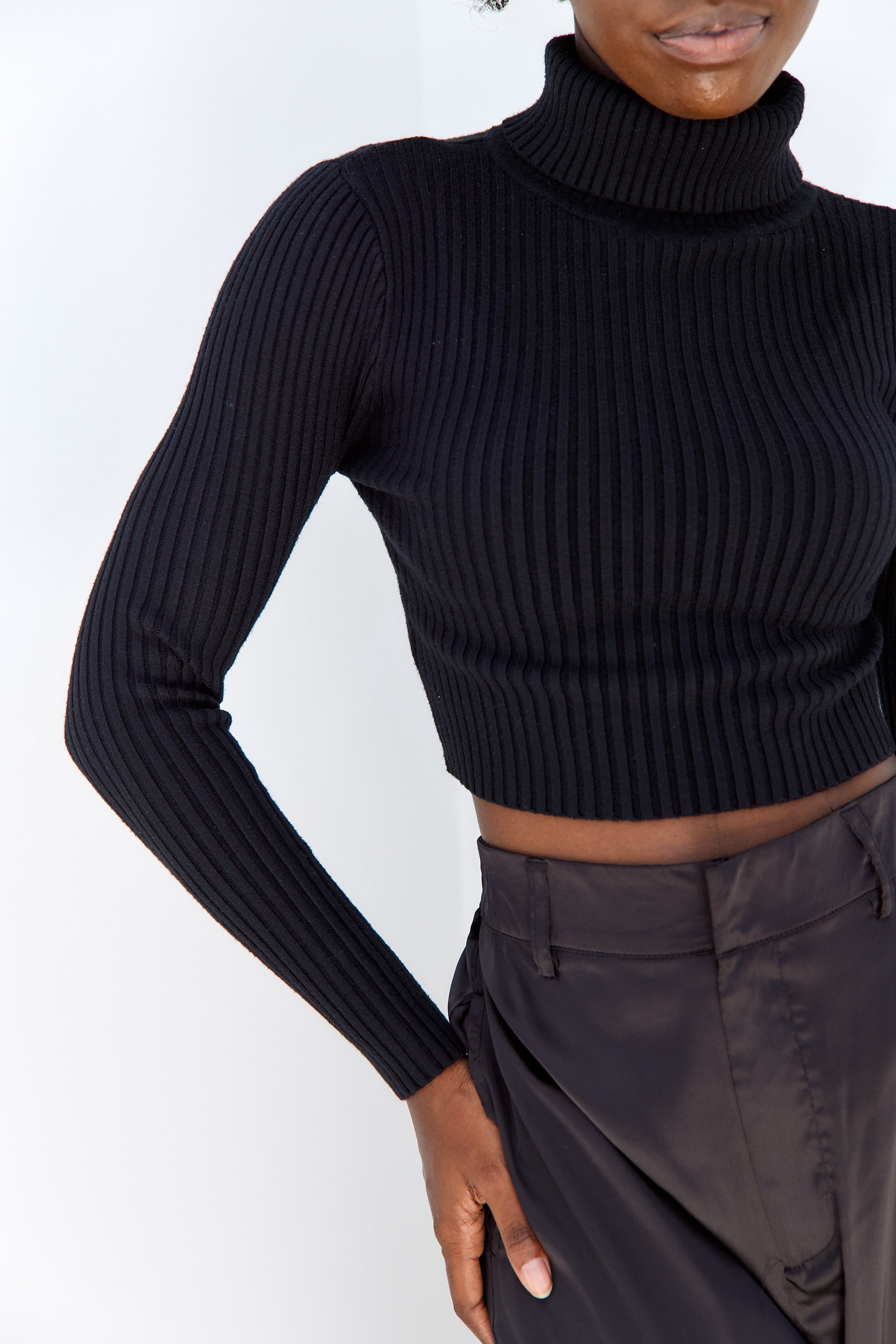 Renner Rib Knit Turtleneck Sweater