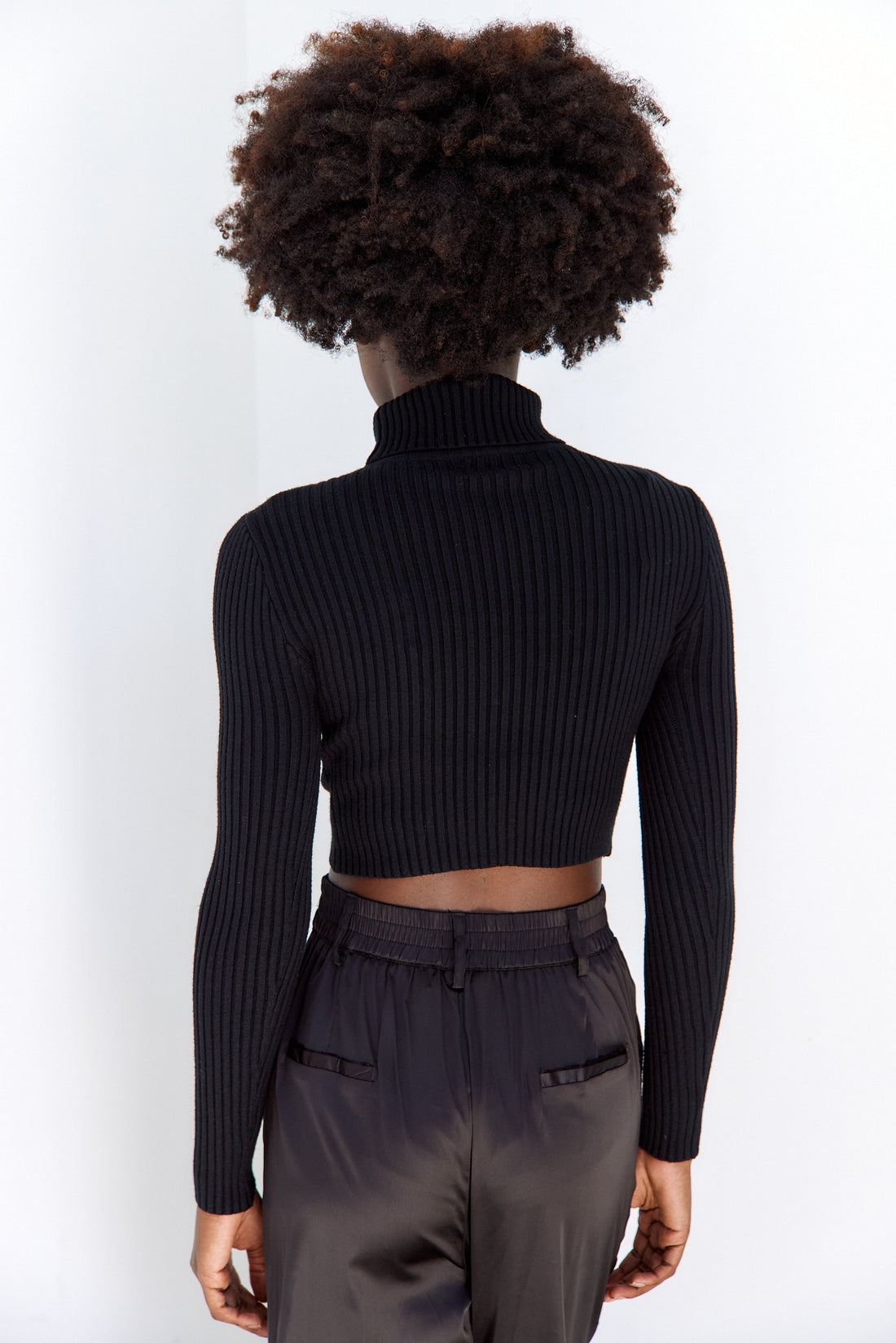 Renner Rib Knit Turtleneck Sweater