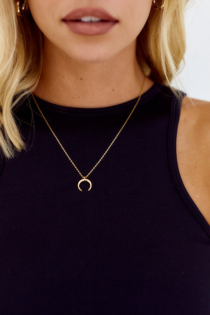 Hudson Horn Pendant Necklace