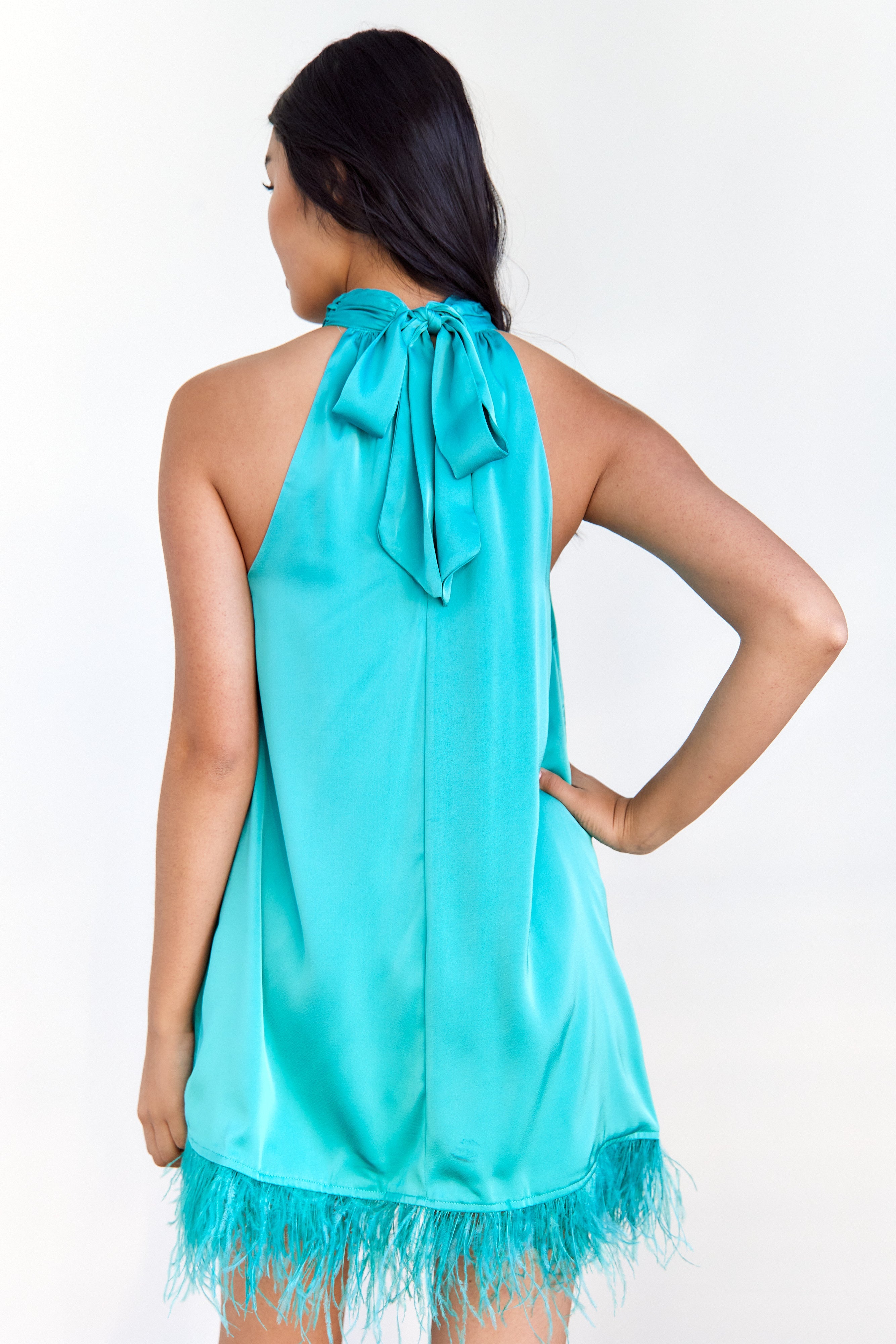SALE - Amryn Feather Shift Dress