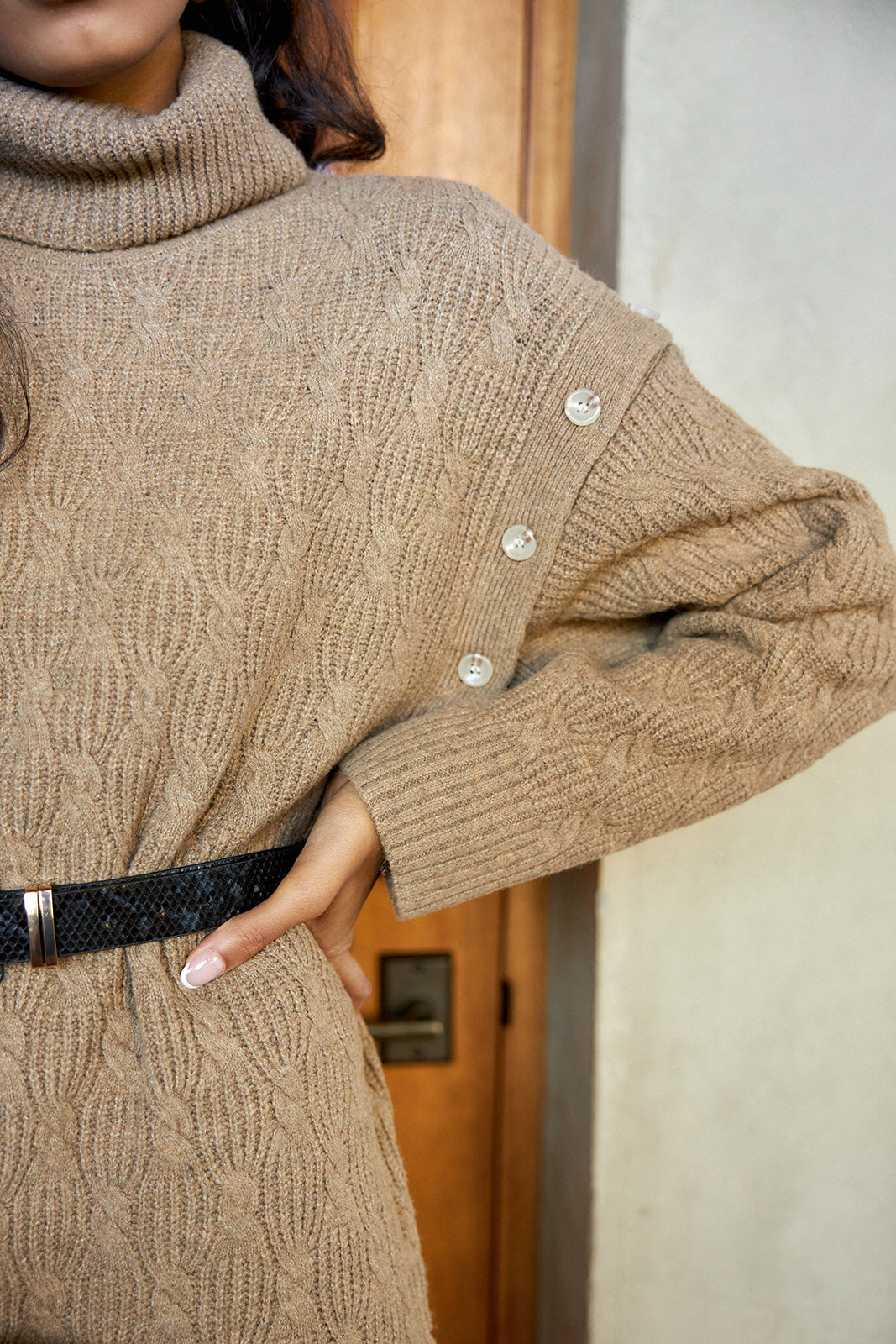 Lainey Turtleneck Sweater Dress