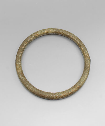Goldie Snakeskin Bangle