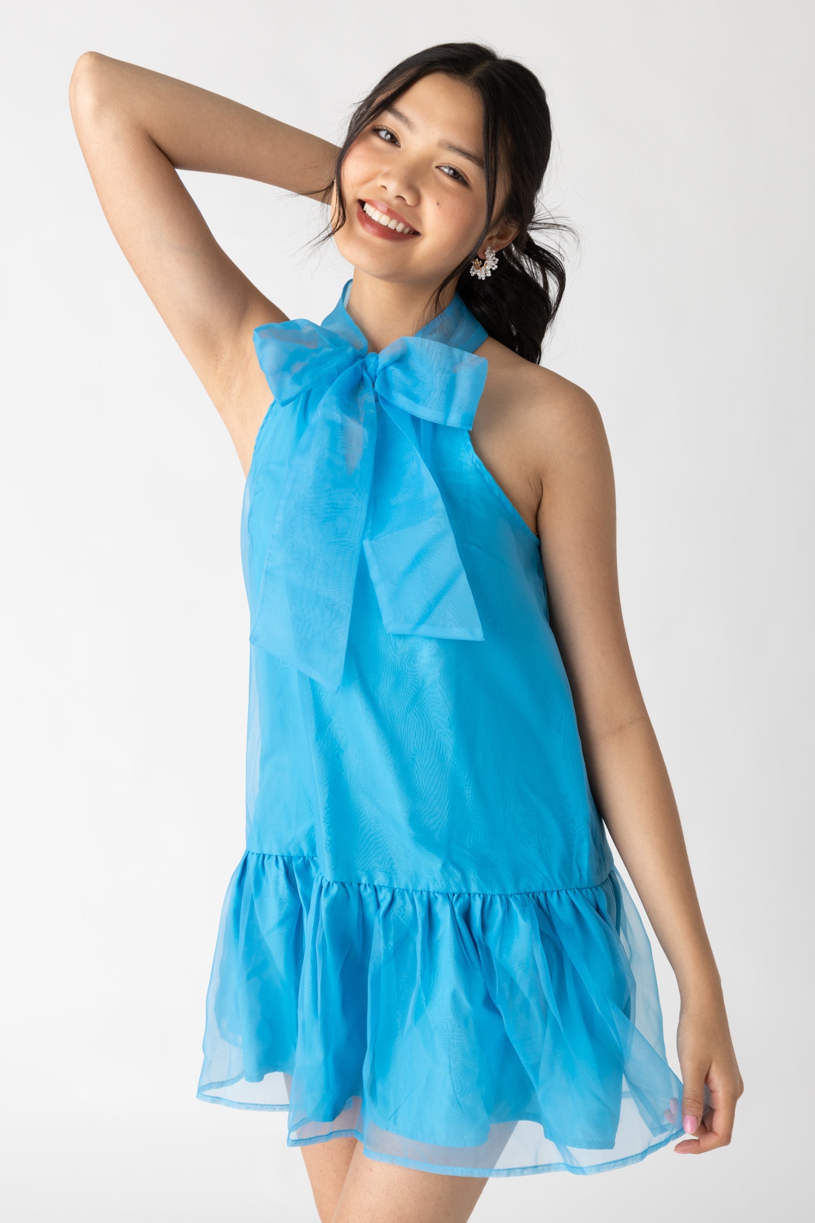 Arie Tie Neck Organza Mini Dress