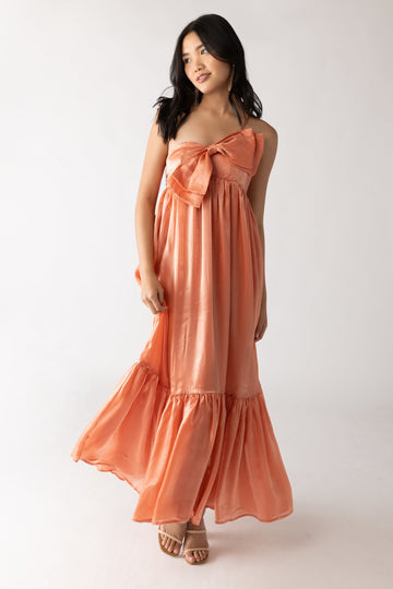 SALE - Louise Iridescent Maxi Dress