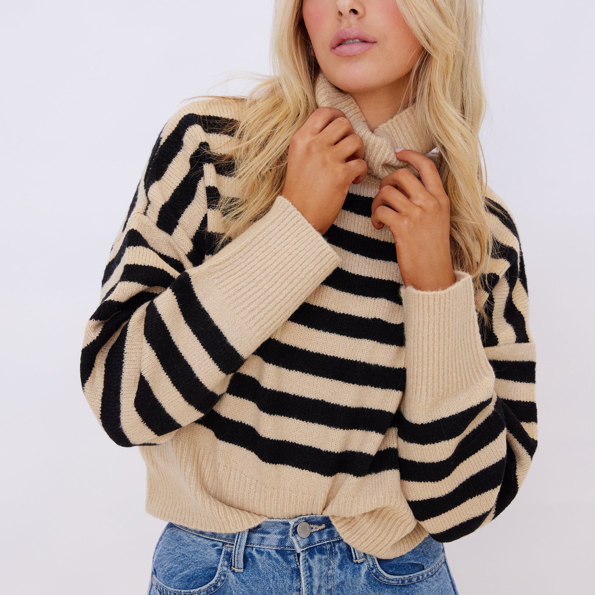 Jean Stripe Turtleneck Sweater